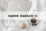 凤仙草养殖（凤仙草多少钱一斤）