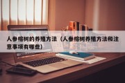 人参榕树的养殖方法（人参榕树养殖方法和注意事项有哪些）