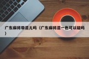 广东麻将带混儿吗（广东麻将混一色可以碰吗）