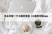 怎么对接一个小程序项目（小程序对接app）