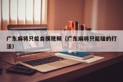 广东麻将只能自摸视频（广东麻将只能碰的打法）