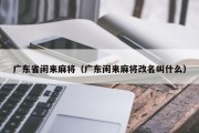 广东省闲来麻将（广东闲来麻将改名叫什么）