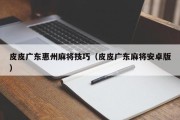 皮皮广东惠州麻将技巧（皮皮广东麻将安卓版）