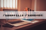 广东麻将新手怎么上手（广东麻将新手教学）