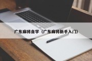 广东麻将自学（广东麻将新手入门）