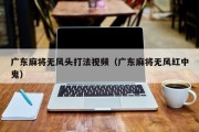 广东麻将无风头打法视频（广东麻将无风红中鬼）