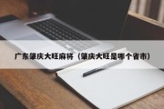 广东肇庆大旺麻将（肇庆大旺是哪个省市）