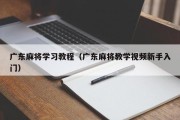 广东麻将学习教程（广东麻将教学视频新手入门）