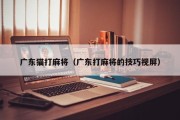 广东猫打麻将（广东打麻将的技巧视屏）