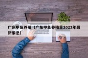 广东甲鱼养殖（广东甲鱼养殖量2023年最新消息）