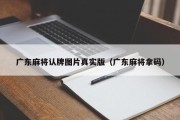 广东麻将认牌图片真实版（广东麻将拿码）