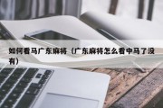 如何看马广东麻将（广东麻将怎么看中马了没有）