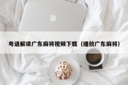 粤语解读广东麻将视频下载（播放广东麻将）
