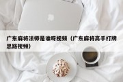 广东麻将法师是谁呀视频（广东麻将高手打牌思路视频）